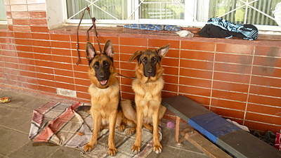 click for enlarge 1920 X 1080 187.1 Kb picture