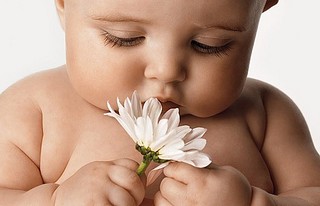 click for enlarge 529 X 341  31.3 Kb picture