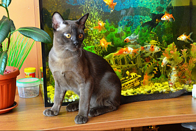 click for enlarge 800 X 533 178.2 Kb picture