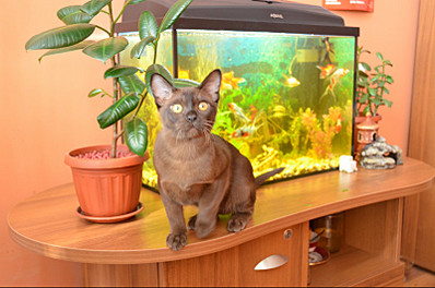 click for enlarge 800 X 529 116.3 Kb picture