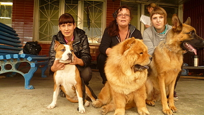 click for enlarge 1920 X 1080 182.5 Kb picture