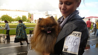 click for enlarge 1920 X 1080 152.1 Kb picture