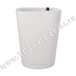 click for enlarge 500 X 500 10.6 Kb picture