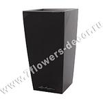 click for enlarge 500 X 500 12.8 Kb picture