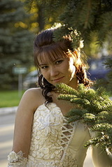 click for enlarge 402 X 600 102.1 Kb picture