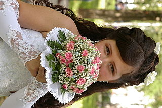click for enlarge 640 X 426  65.5 Kb picture