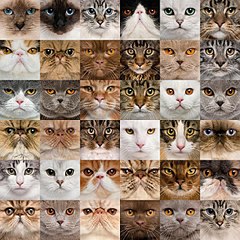 click for enlarge 604 X 604 124.4 Kb picture