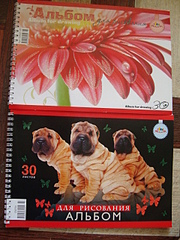 click for enlarge 1920 X 2560 405.0 Kb picture