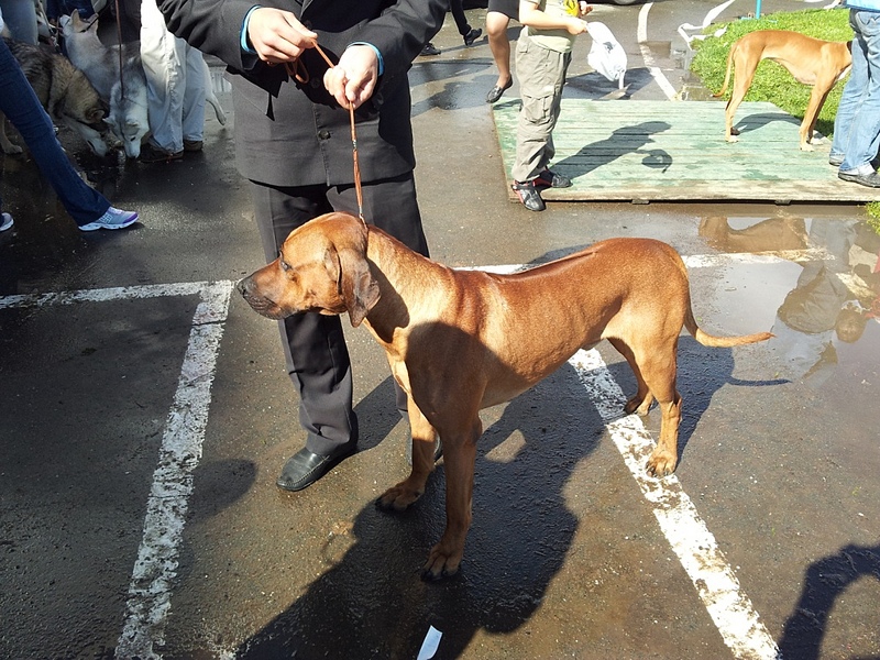 click for enlarge 1024 X 768 385.4 Kb picture