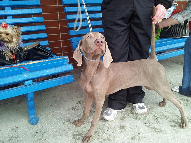 click for enlarge 1024 X 768 402.1 Kb picture