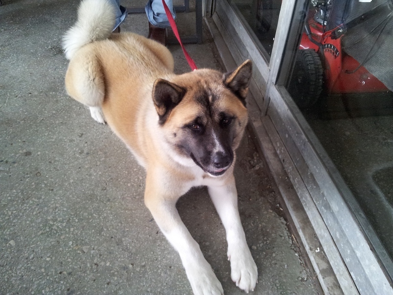 click for enlarge 1024 X 768 348.6 Kb picture