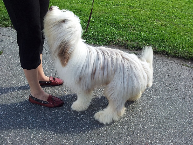 click for enlarge 1024 X 768 378.6 Kb picture