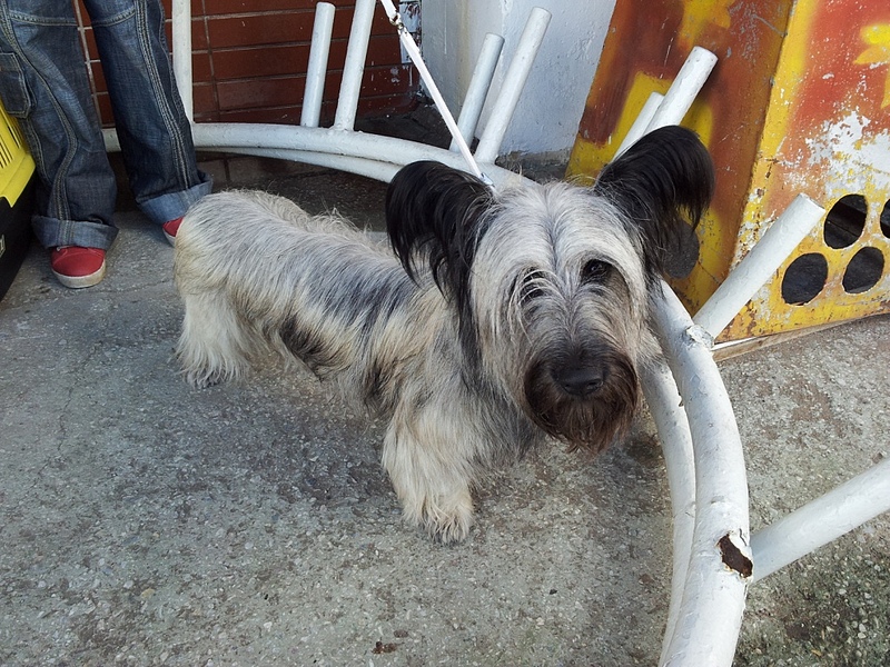 click for enlarge 1024 X 768 402.7 Kb picture