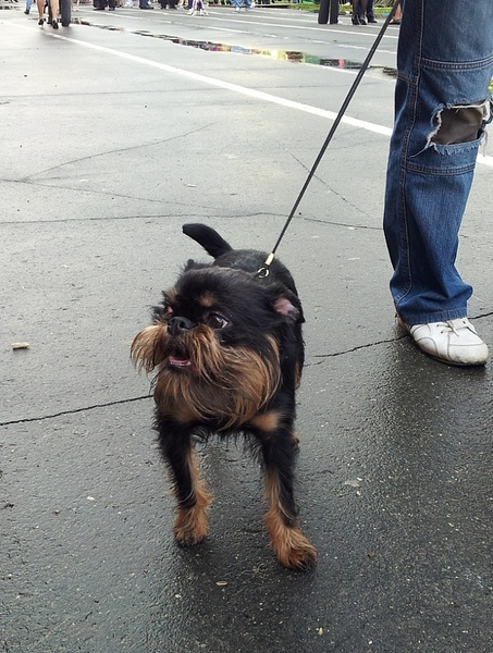 click for enlarge 768 X 1017 320.2 Kb picture