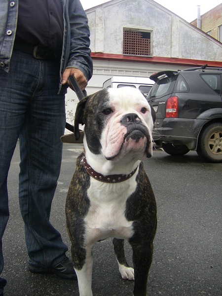 click for enlarge 768 X 1024 341.7 Kb picture