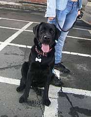 click for enlarge 768 X 982 347.1 Kb picture