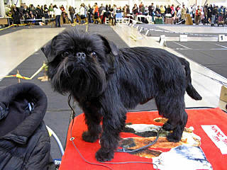 click for enlarge 640 X 480  45.5 Kb picture