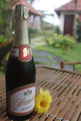 click for enlarge 1267 X 1900 193.8 Kb picture