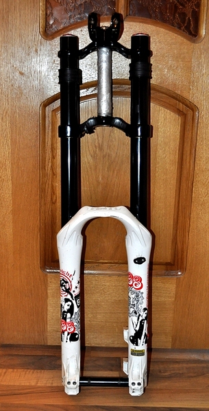 click for enlarge 510 X 1001 395.1 Kb picture