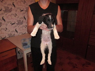 click for enlarge 1920 X 1440 567.7 Kb picture