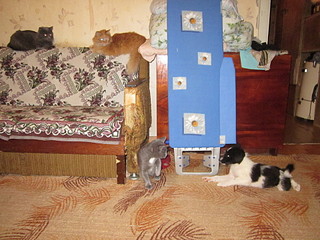 click for enlarge 1920 X 1440 686.9 Kb picture