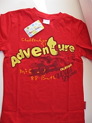 click for enlarge 768 X 1024 248.0 Kb picture