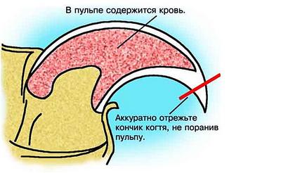 click for enlarge 640 X 394 37.1 Kb picture