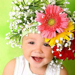 click for enlarge 640 X 640 103.7 Kb picture