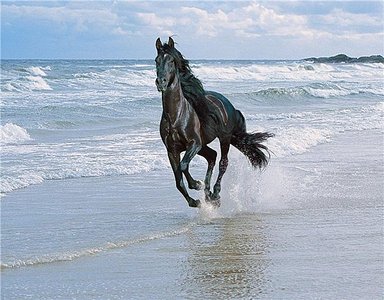 click for enlarge 600 X 468  68.4 Kb picture