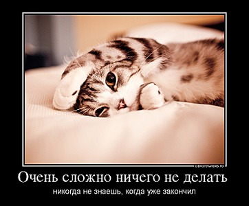 click for enlarge 760 X 629 81.4 Kb picture