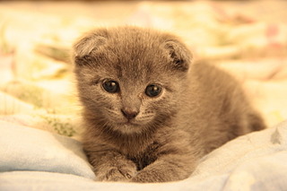 click for enlarge 1920 X 1280 369.6 Kb picture