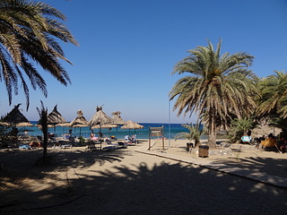 click for enlarge 1920 X 1440 961.9 Kb picture