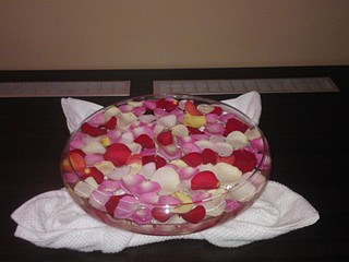 click for enlarge 1920 X 1440 512.9 Kb picture