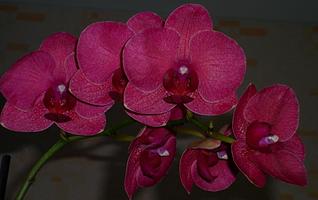 click for enlarge 1024 X 643 75.4 Kb picture