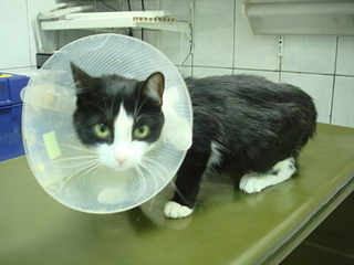 click for enlarge 1920 X 1440 119.1 Kb picture