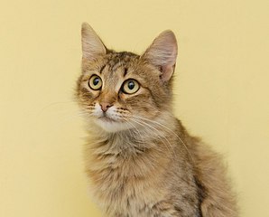 click for enlarge 807 X 649  62.1 Kb picture