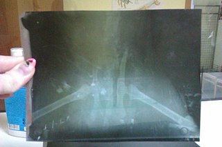 click for enlarge 807 X 538  57.0 Kb picture