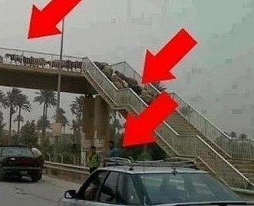 click for enlarge 480 X 390  26.3 Kb picture