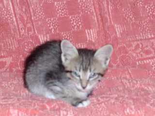 click for enlarge 1920 X 1440  95.9 Kb picture