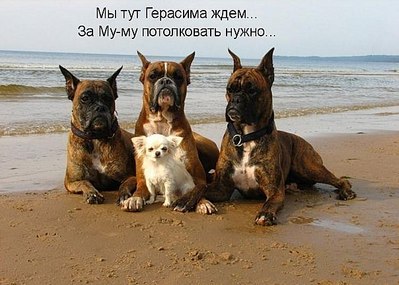 click for enlarge 604 X 431 59.5 Kb picture
