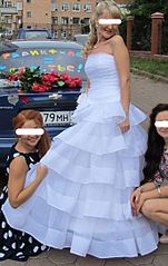 click for enlarge 1369 X 2174 351.3 Kb picture