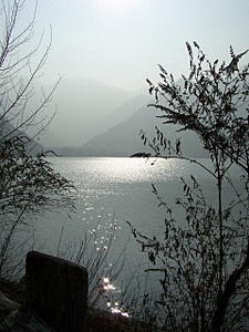 click for enlarge 1920 X 2555 509.7 Kb picture