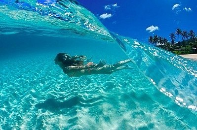 click for enlarge 500 X 331 51.5 Kb picture
