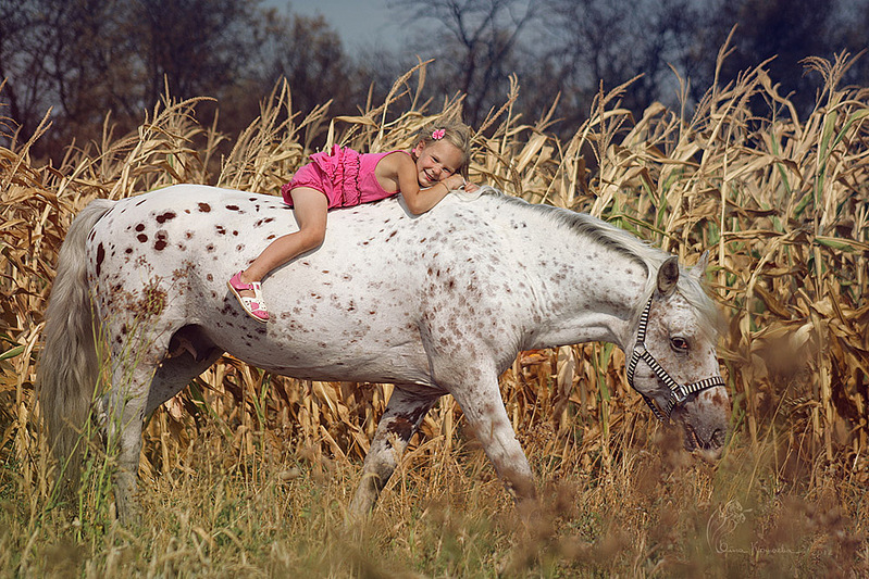 click for enlarge 1000 X 667 311.7 Kb picture