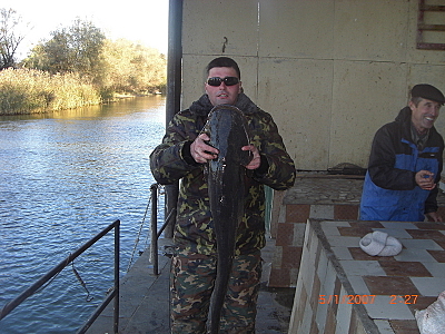 click for enlarge 800 X 600 430.0 Kb picture