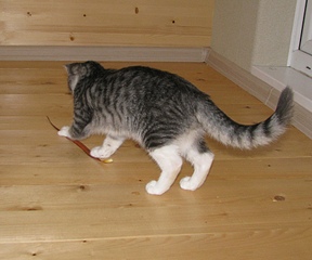 click for enlarge 1858 X 1546 888.1 Kb picture