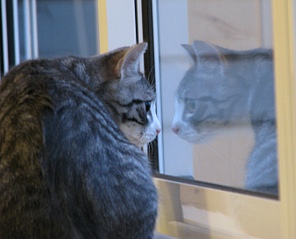 click for enlarge 1349 X 1092 443.8 Kb picture