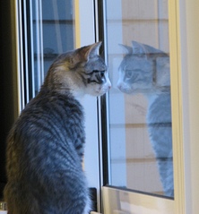 click for enlarge 1573 X 1697 873.8 Kb picture