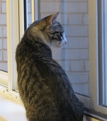 click for enlarge 1354 X 1527 838.0 Kb picture