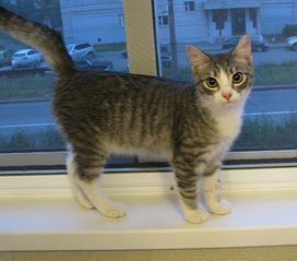 click for enlarge 1606 X 1412 836.6 Kb picture